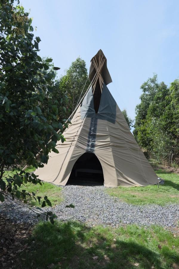 Gumtree Tipis Hotell Bickington Exteriör bild